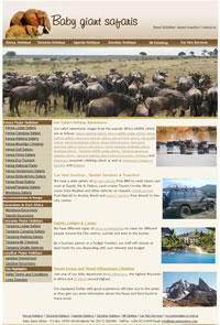 Baby Giant Safaris  Websie